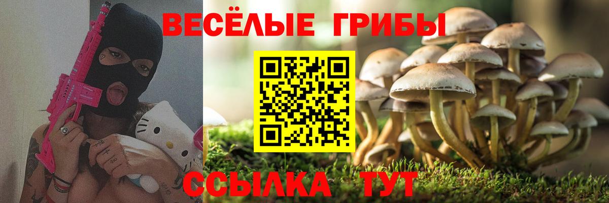Ливны  Псилоцибиновые грибы Magic Shrooms  Вход с VPN 